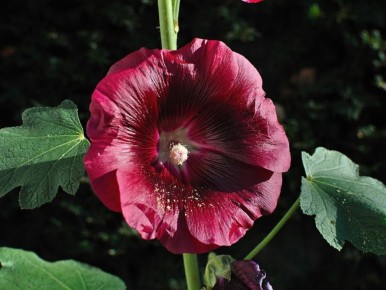 ����-����: ��� ������� ����� ���������� ��� � �������� �����