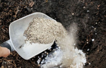 ������� ����������: ��� ������������ ���� ��� �������� ���������� ������ ����