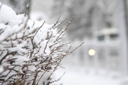 ��� �������������:. � ������ � 18:00 27 ������� �� 10:00 28 ������� ��������� ����, ������� ������� ����, ���������� �� �������