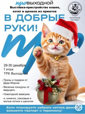 ��������-������������ ����� � ������ �� ������� �� ������ ���� ������� � �������� 29 � 30 ������� � ��� ���������