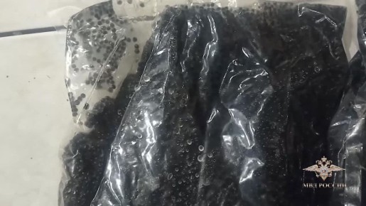 Новогодняя икра оказалась бутафорией: подпольный цех с фальшивым деликатесом стоимостью свыше 7 млн рублей накрыли в подмосковных Люберцах