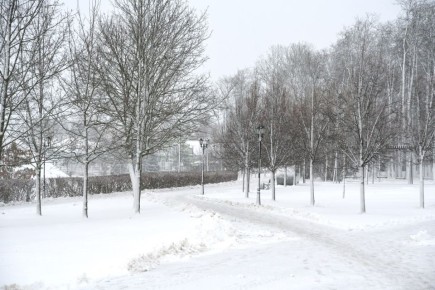 До Нового Года осталось 3 дня и 2 ночи
