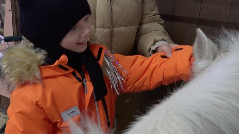 Поездка на ранчо и пазлы: как «Ёлка желаний» подарила чудо особенной девочке из Солнечногорска Поездка на ранчо и пазлы: как «Ёлка желаний» подарила чудо особенной девочке из Солнечногорска