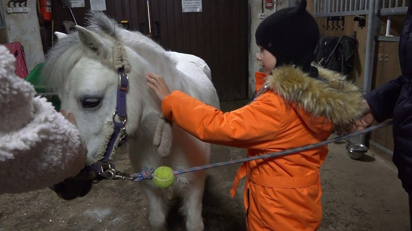 Поездка на ранчо и пазлы: как «Ёлка желаний» подарила чудо особенной девочке из Солнечногорска