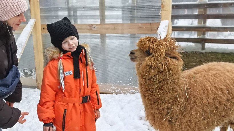 Поездка на ранчо и пазлы: как «Ёлка желаний» подарила чудо особенной девочке из Солнечногорска Поездка на ранчо и пазлы: как «Ёлка желаний» подарила чудо особенной девочке из Солнечногорска