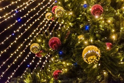 ������ ����: � ����� �����, ��������!. @yrovsg