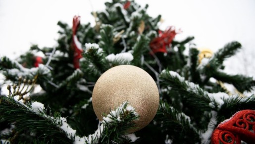 ���������� �������� - ������ ����� ��� ��������� ������