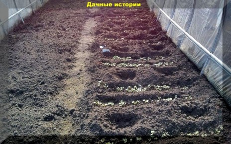 ������ ���� � ������: ��� ����� ������� � ������� � ����� 2026 ����