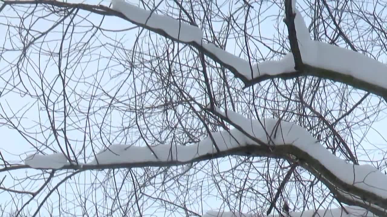 ВРИП главы Реутова Алексей Ковязин в плановом режиме проконтролировал качество зимней уборки в городе