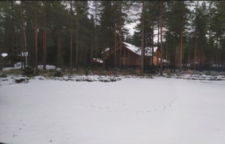 В сердце тропиков: встреча с раффлезией, самой большой цветком на Земле