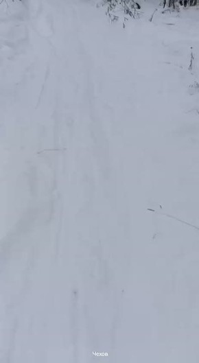 ������ �������: ��������� ������ � ����� �.�. �����!