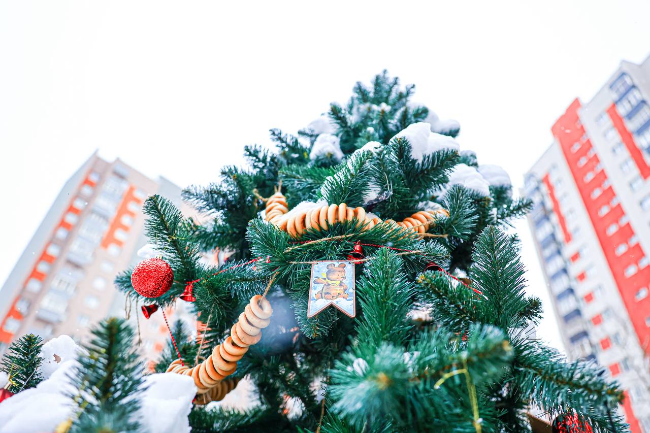 Юлия Купецкая: В городском округе Мытищи продолжаются праздничные мероприятия на дворовых территориях Юлия Купецкая: В городском округе Мытищи продолжаются праздничные мероприятия на дворовых территориях