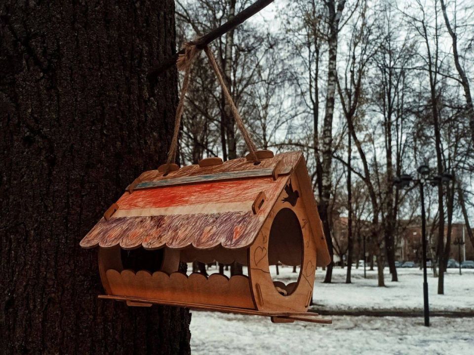 ������ ��� ���������, � �������� ������ ����� ���� �������� �� �������� ����