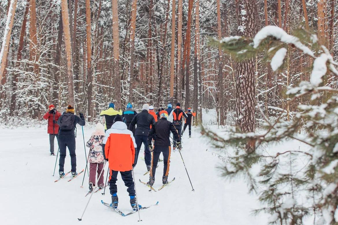 Учимся у профессионала. На лыжной базе Дворца спорта «Восток» состоялась тренировка с профессиональным лыжником Антоном Тимашовым Учимся у профессионала. На лыжной базе Дворца спорта «Восток» состоялась тренировка с профессиональным лыжником Антоном Тимашовым
