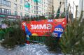Акция по утилизации новогодних елей пройдет в Мытищах