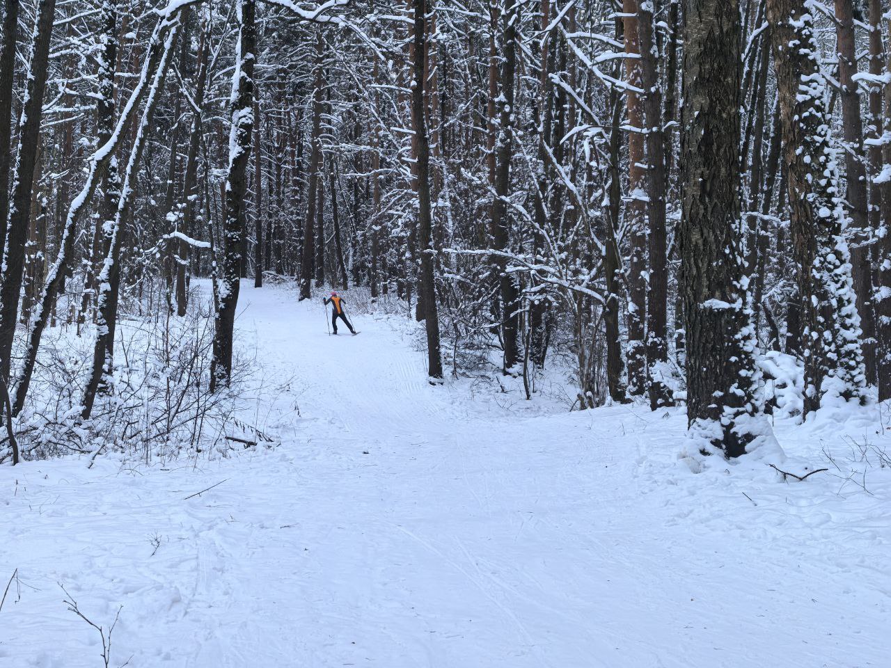 Игорь Сухин: Новогодние каникулы — отличное время для активного отдыха