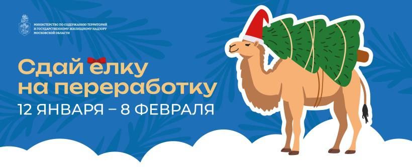 ���� ��������: � 12 ������ � ����������� ������ �������� �������� �� ����� ����