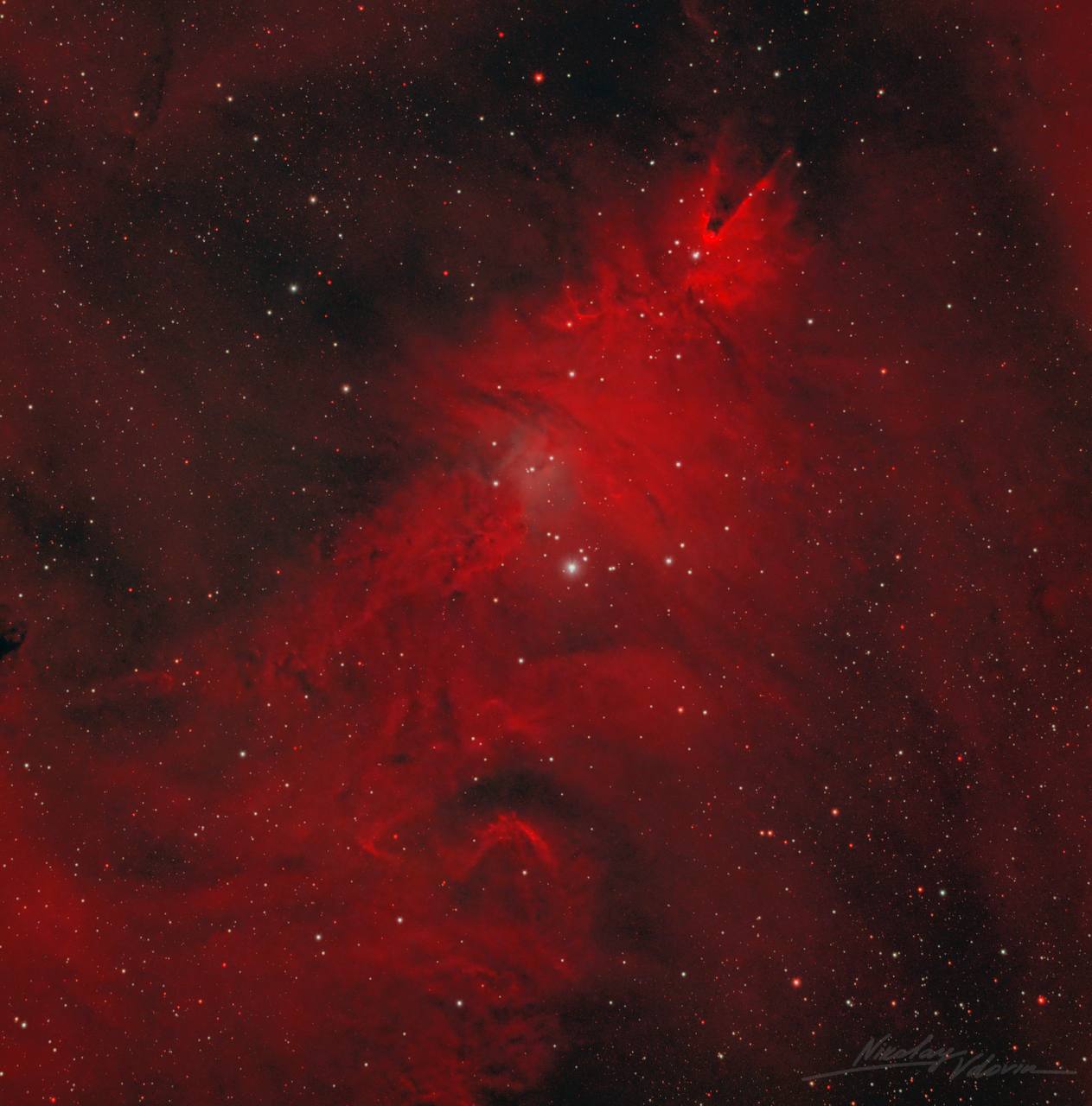 «Роскосмос» показал необычную область звездообразования с «рождественской елкой»