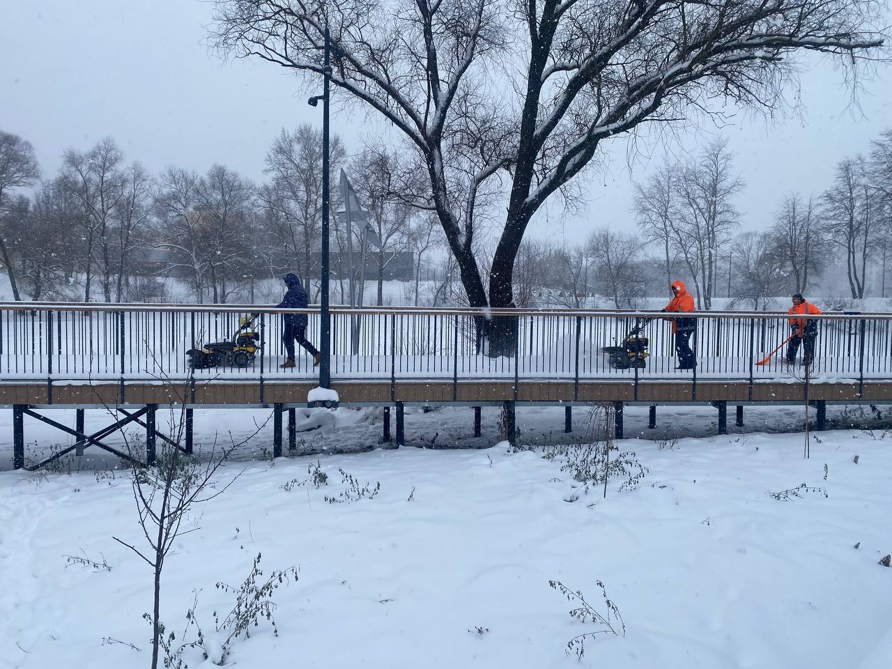 Михаил Собакин: С целью контроля содержание внутридворовых территорий и общественных пространств в зимний период провел обход улиц Ильича, Чехова, Дружбы, набережной реки Теребенка и бульвара им. А.П. Чехова Михаил Собакин: С целью контроля содержание внутридворовых территорий и общественных пространств в зимний период провел обход улиц Ильича, Чехова, Дружбы, набережной реки Теребенка и бульвара им. А.П. Чехова