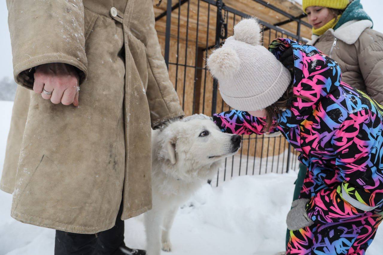 Рождественскую сказку для воспитанников центра «Время надежды» подарили учредители агроусадьбы «Полянка», расположенного неподалёку от Березняков Рождественскую сказку для воспитанников центра «Время надежды» подарили учредители агроусадьбы «Полянка», расположенного неподалёку от Березняков