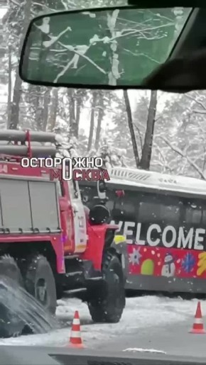 Автобус влетел в столб дерева в Подмосковье