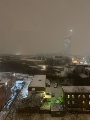 ��� �� ������ �������� �� ���� ����� ����������