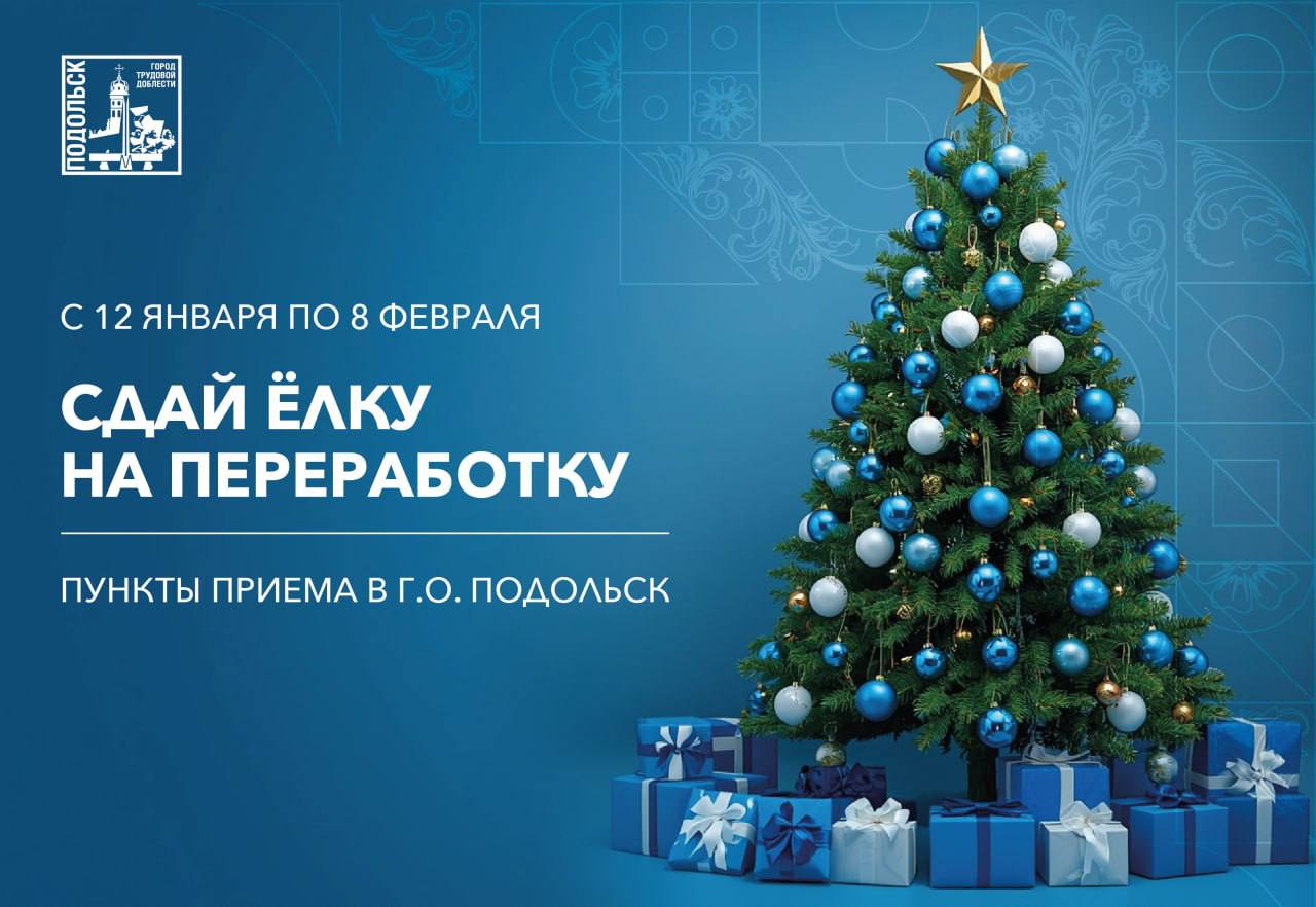 Не выбрасывай елку! Сдай на переработку!