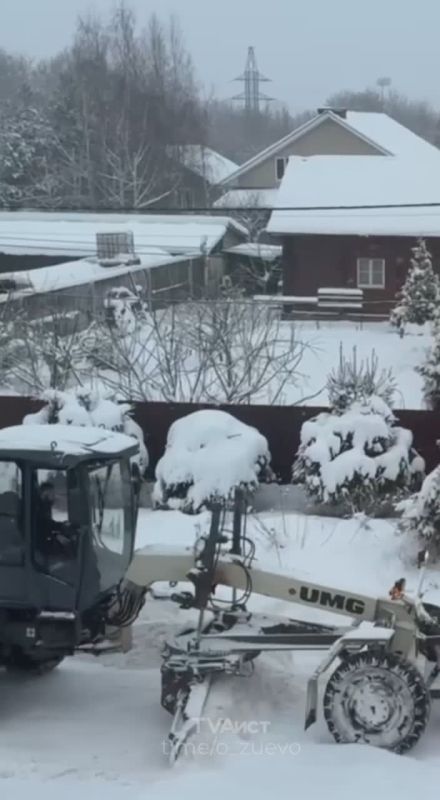 ������ ������������: ����, ���������� ��� ����� �������, ���������� ����