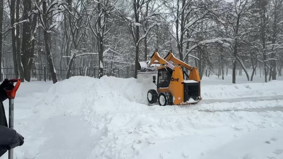 ��������, ��������!. �� �����������, � ��������� �����������, ��������� ������� ������ ��������