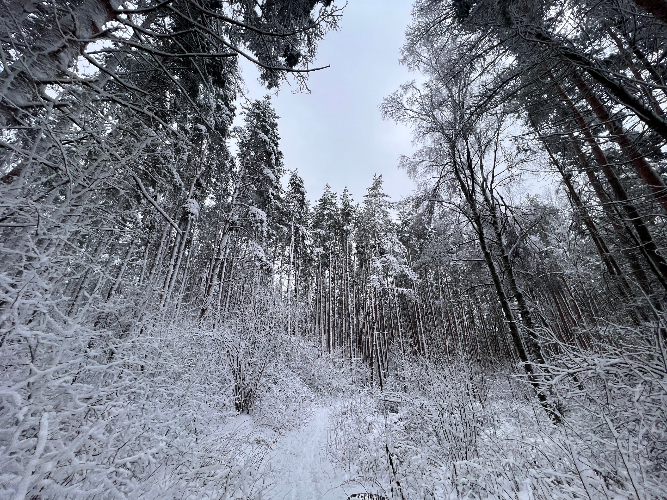 Нас ждёт первое в этом году настоящее испытание непогодой – на регион обрушился чрезвычайно активный балканский циклон «Фрэнсис»