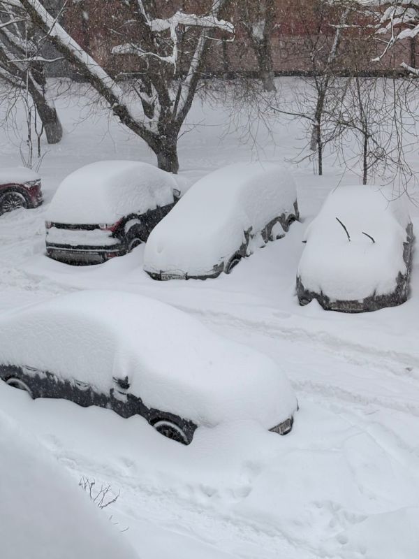 ���������� �������� �����������, ��� ������ ������� ������ �� ������ ��������� ��������