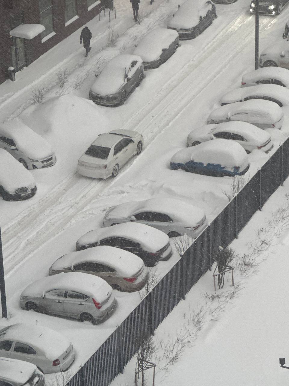 АТМОСФЕРА: вот это разгулялся «Фрэнсис»! Вчера был рекордный за последние 56 лет снегопад — за сутки выпало 42% от месячной нормы осадков, сообщил синоптик «Фобоса» Евгений Тишковец