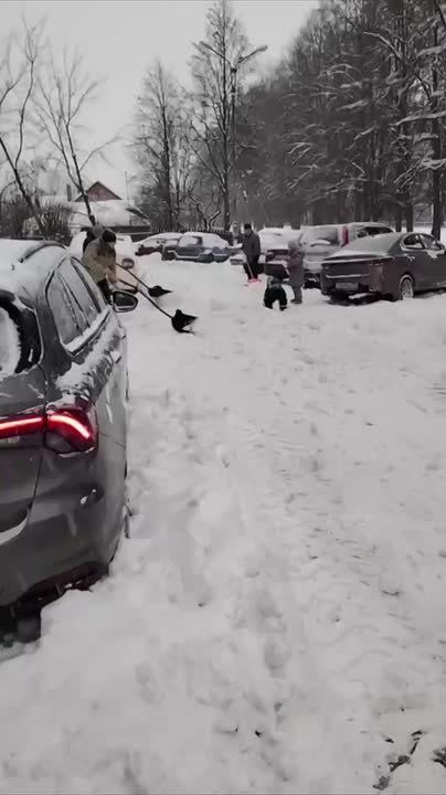 ������ ����� � ���������� �� ���������������