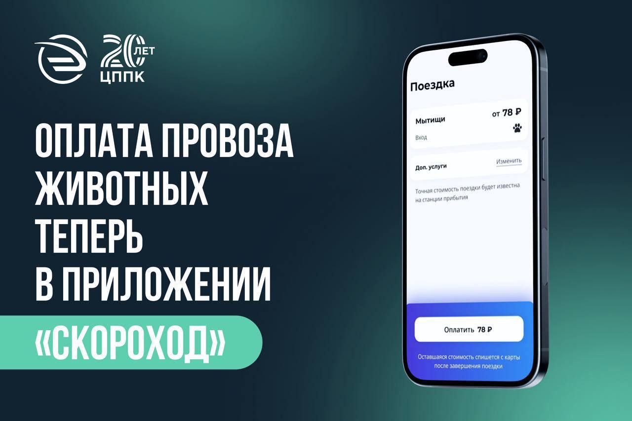 Новая опция: мытищинцам доступна оплата проезда для питомцев в приложении