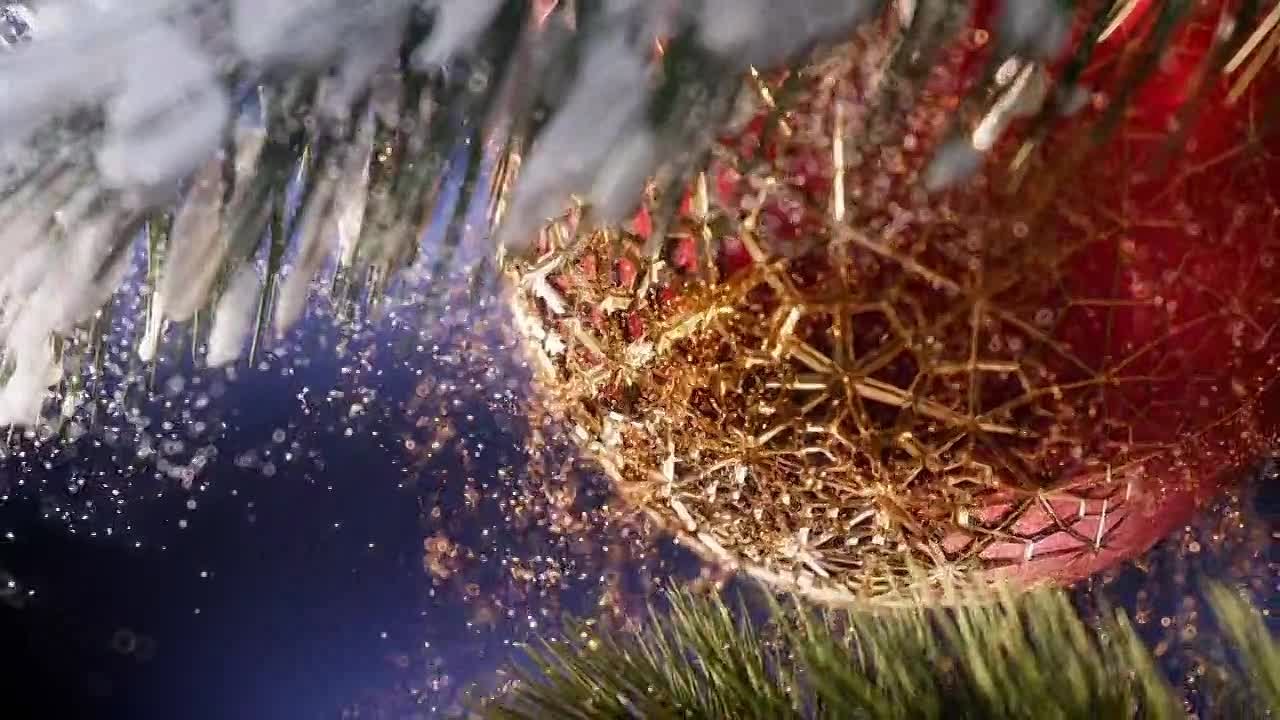 Сотрудники военных следственных органов СК России провели личный прием участников специальной военной операции