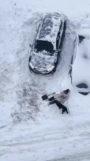 �������� � ������ ����� � ������� ����� ������ �� 146 ���