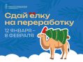 «Зелёная миссия после праздников»: сдайте ёлку на переработку с 12 января по 8 февраля в Щёлкове