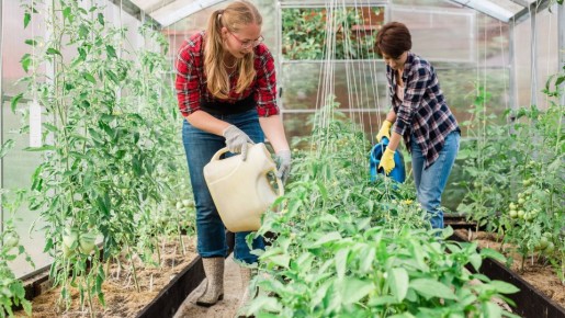 ������ ������� ������ �������� �� �� ����������: ������� �� � ������� ��� ���