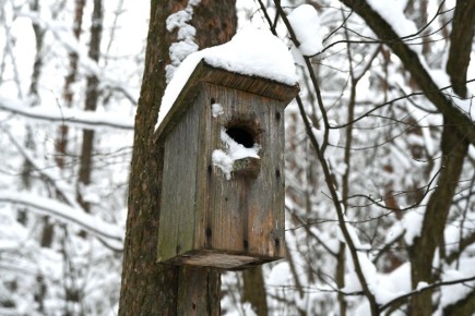 ��������� ����� ��� ������ ����������� ������� ������� �������������