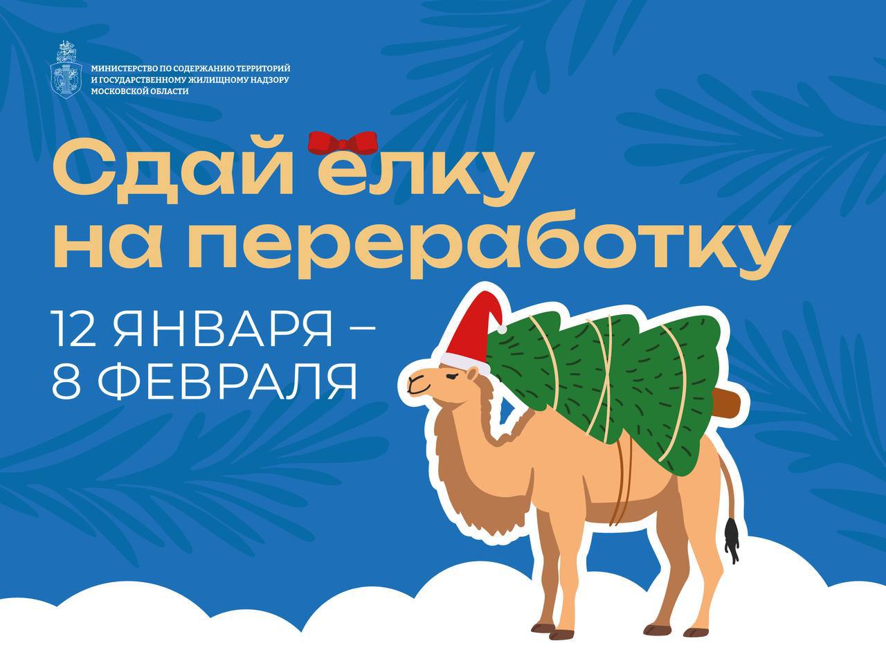 С 12 января по 8 февраля 2026 года Министерство по содержанию территорий и государственному жилищному надзору Московской области проводит ежегодную региональную акцию «Сдай елку на переработку»