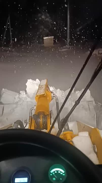 � ������ ���� ������ ������ ������ ���������� ��������� ����������� ���������