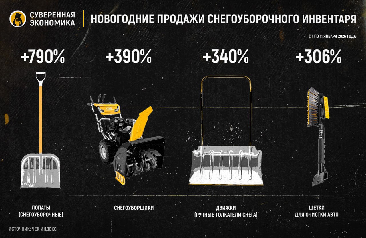 Let it snow: продажи лопат выросли на 790% на фоне рекордных снегопадов