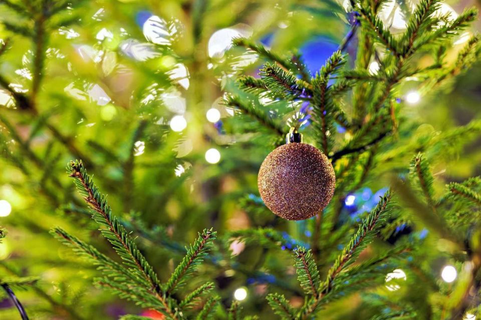 ��� ��������� ������������ ���������� ���� �� ������ ������� ����� ���������� ����������