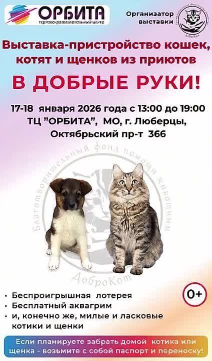 ��������-������������ �������� �� ������� ������� � ��������