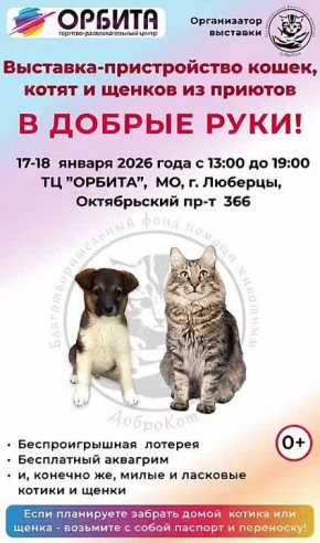 ��������-������������ �������� �� ������� ������� � ��������