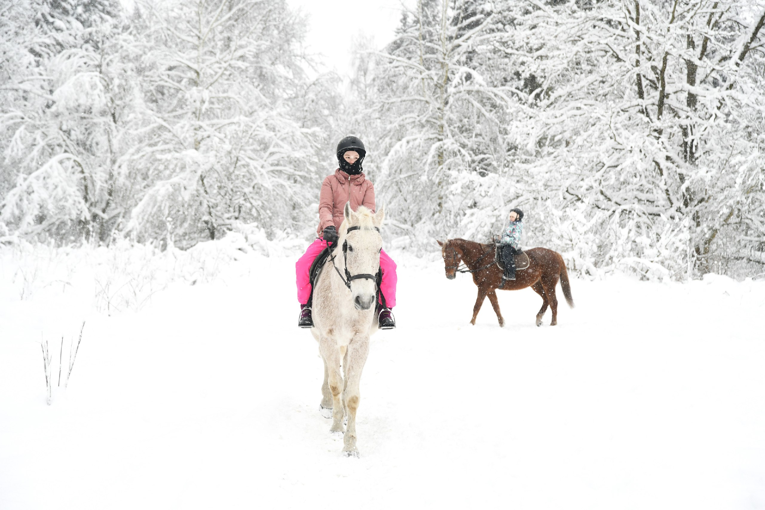 В Дмитровском округе туристический поток в новогодние каникулы превысил 250 тысяч человек В Дмитровском округе туристический поток в новогодние каникулы превысил 250 тысяч человек