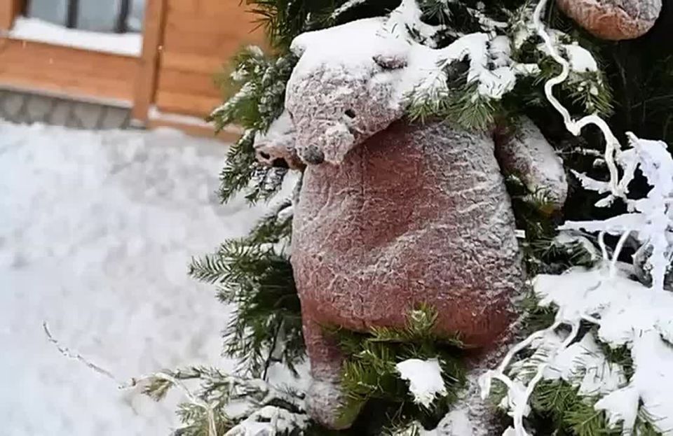 ������ ����, ��������!. ��� � �������� ������� � ����, ����� ��� ����������� ���� ������� ������, �� ��� ������� ��� � ����������� ��� ����� ���������