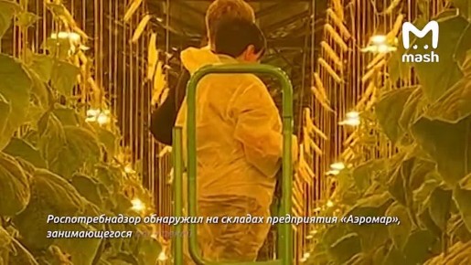 � ��������� ��� �������������� ����� ������� ������ � ����������� ��������