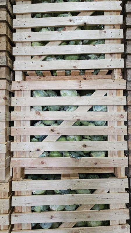 ����������� ��������� ��� ���������� ������ ������� ����������� � ������� ������������ ���� ����