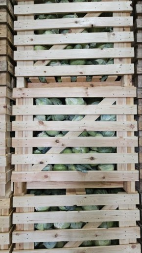 ����������� ��������� ��� ���������� ������ ������� ����������� � ������� ������������ ���� ����